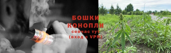 PSILOCYBIN Переславль-Залесский