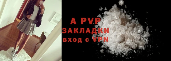 PSILOCYBIN Беломорск