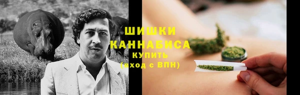 прущие крисы Белоозёрский