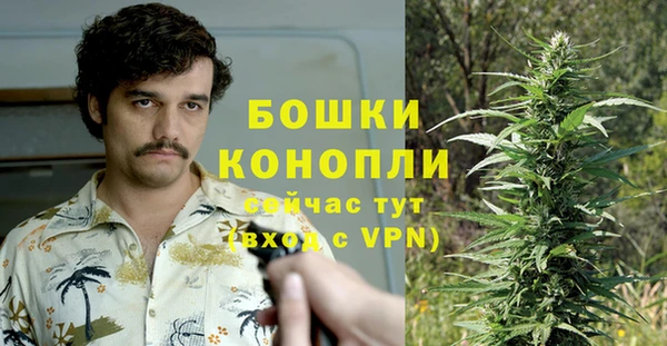 PSILOCYBIN Беломорск