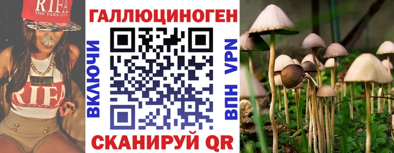 Псилоцибиновые грибы Psilocybine cubensis  как найти наркотики  блэк спрут рабочий сайт  Николаевск-на-Амуре 